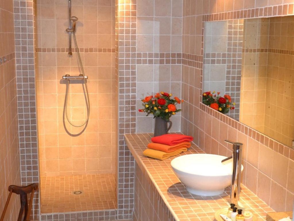 La Deviniere Donzère Quarto foto