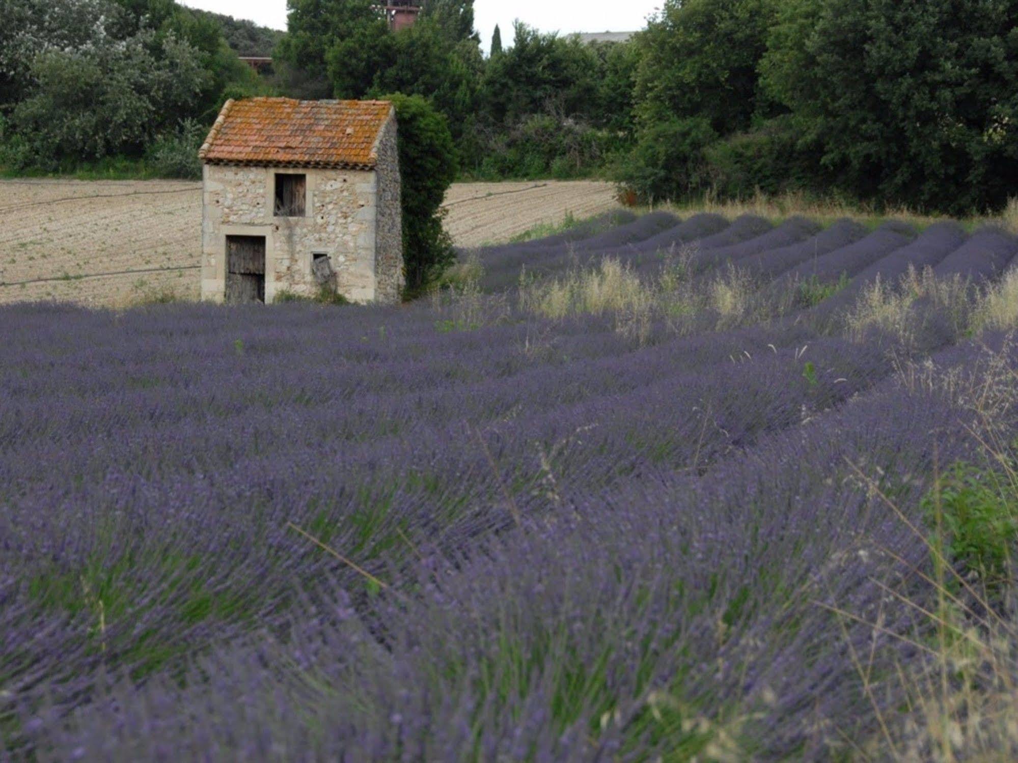 La Deviniere Donzère Exterior foto